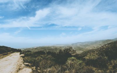 A psychological perspective on religion and spirituality