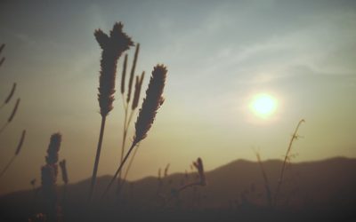 A new spin on the parable of the prodigal son