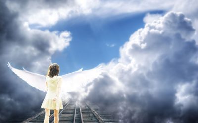 Evolution of the soul; fallacy or reality?