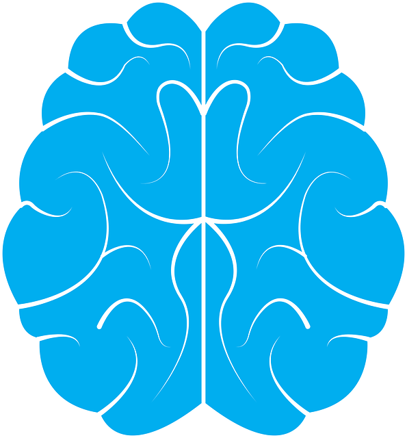 The four stages of consciousness